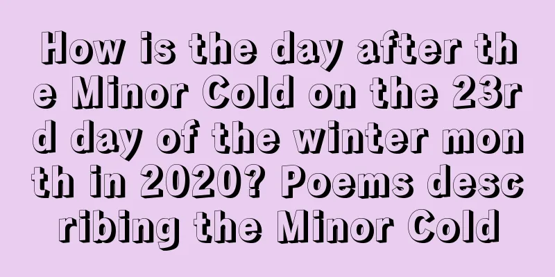 How is the day after the Minor Cold on the 23rd day of the winter month in 2020? Poems describing the Minor Cold
