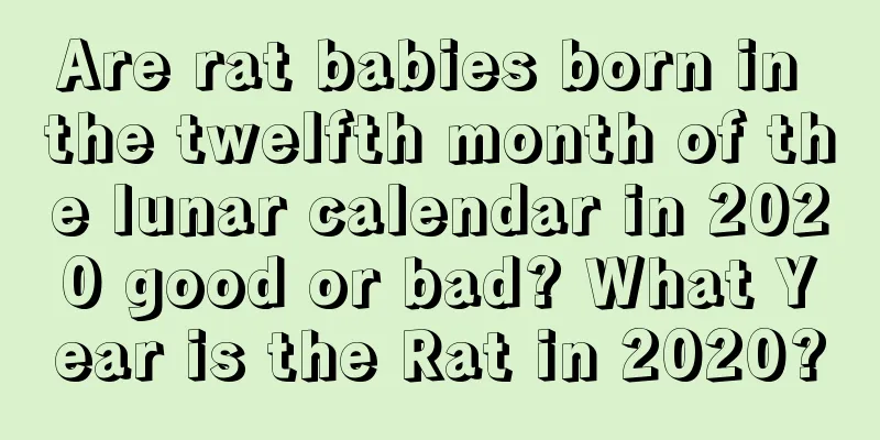 Are rat babies born in the twelfth month of the lunar calendar in 2020 good or bad? What Year is the Rat in 2020?