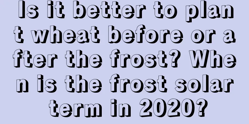 Is it better to plant wheat before or after the frost? When is the frost solar term in 2020?