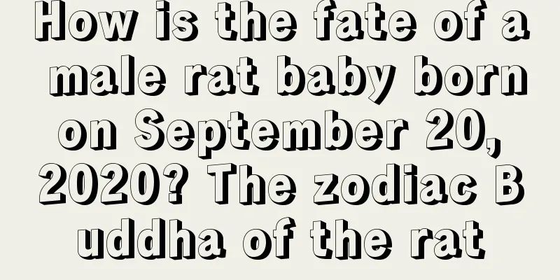 How is the fate of a male rat baby born on September 20, 2020? The zodiac Buddha of the rat