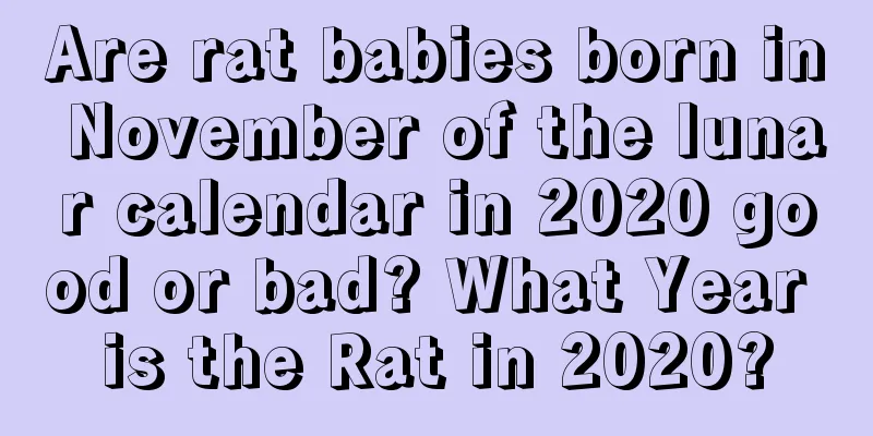 Are rat babies born in November of the lunar calendar in 2020 good or bad? What Year is the Rat in 2020?