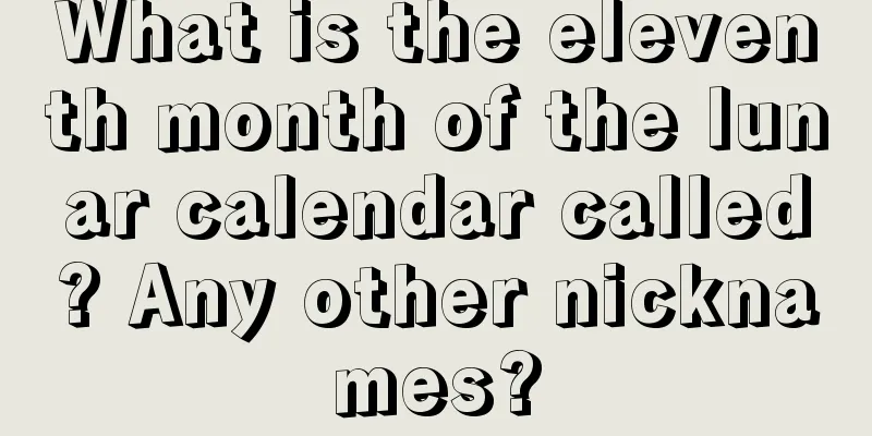 What is the eleventh month of the lunar calendar called? Any other nicknames?