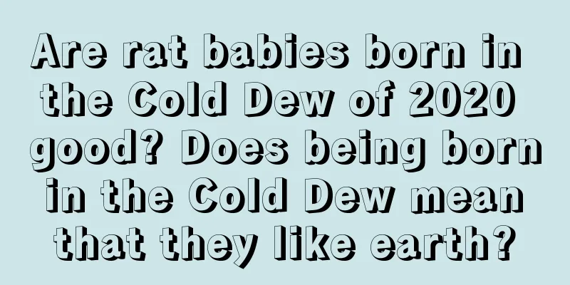 Are rat babies born in the Cold Dew of 2020 good? Does being born in the Cold Dew mean that they like earth?
