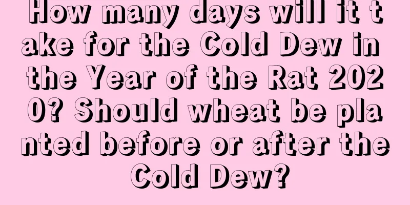 How many days will it take for the Cold Dew in the Year of the Rat 2020? Should wheat be planted before or after the Cold Dew?