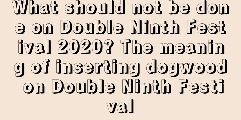 What should not be done on Double Ninth Festival 2020? The meaning of inserting dogwood on Double Ninth Festival