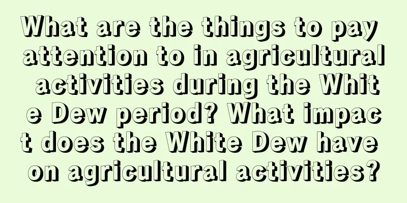 What are the things to pay attention to in agricultural activities during the White Dew period? What impact does the White Dew have on agricultural activities?