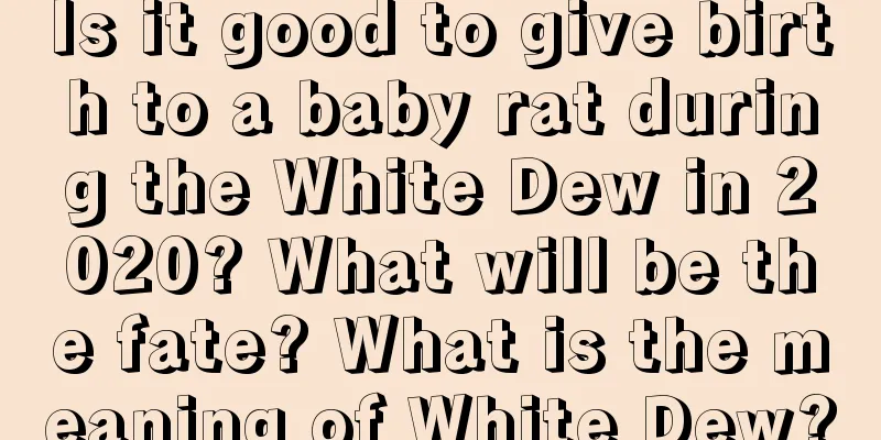 Is it good to give birth to a baby rat during the White Dew in 2020? What will be the fate? What is the meaning of White Dew?
