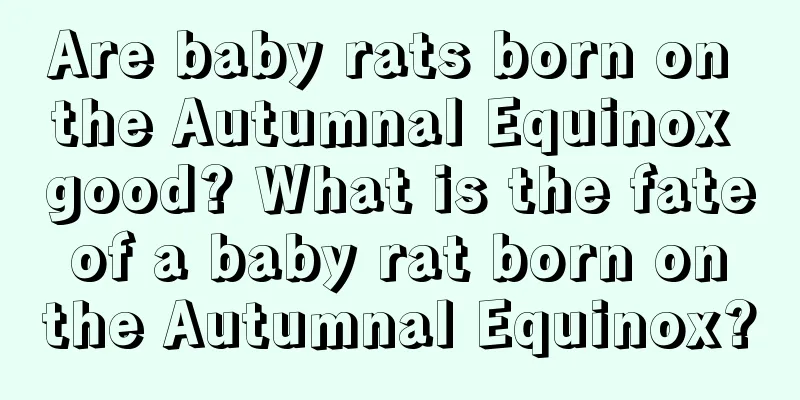 Are baby rats born on the Autumnal Equinox good? What is the fate of a baby rat born on the Autumnal Equinox?