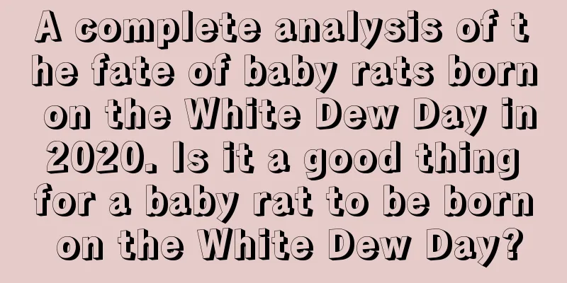 A complete analysis of the fate of baby rats born on the White Dew Day in 2020. Is it a good thing for a baby rat to be born on the White Dew Day?