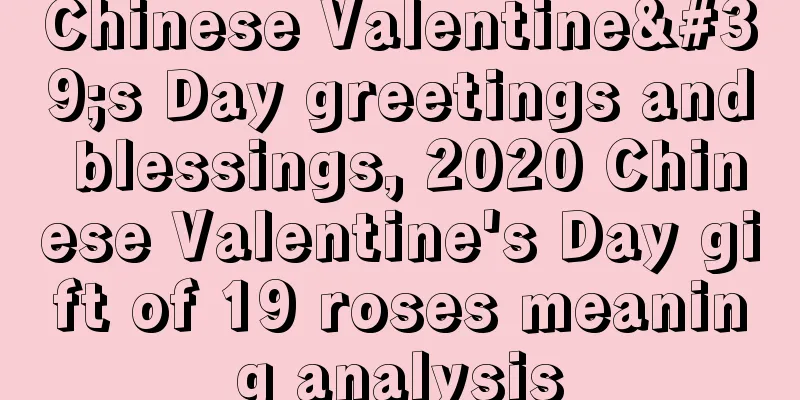 Chinese Valentine's Day greetings and blessings, 2020 Chinese Valentine's Day gift of 19 roses meaning analysis