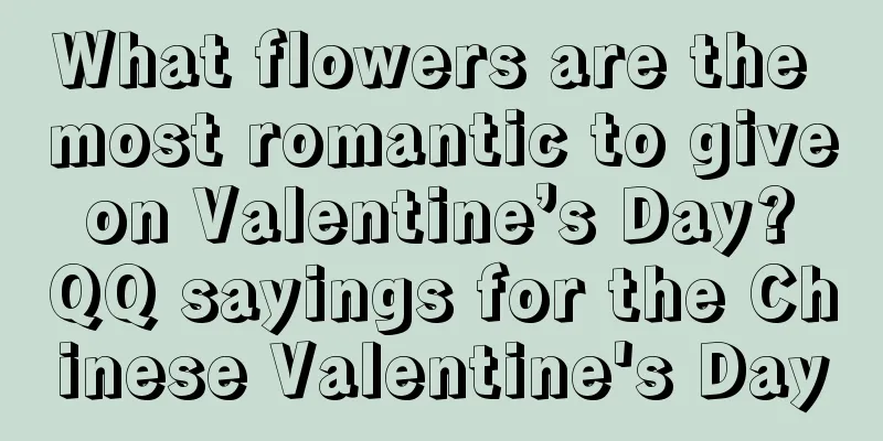 What flowers are the most romantic to give on Valentine’s Day? QQ sayings for the Chinese Valentine's Day