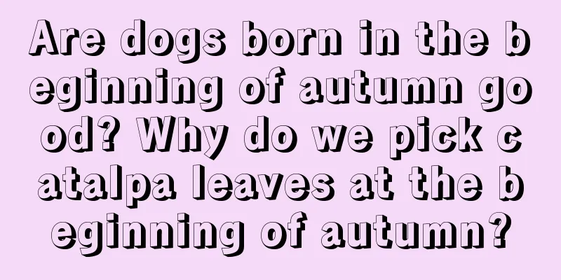 Are dogs born in the beginning of autumn good? Why do we pick catalpa leaves at the beginning of autumn?