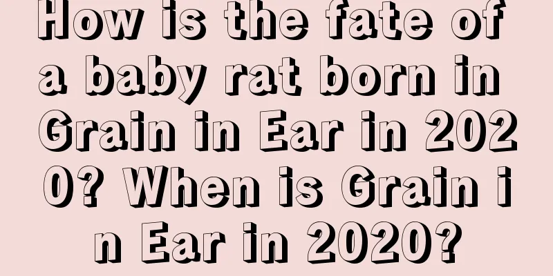 How is the fate of a baby rat born in Grain in Ear in 2020? When is Grain in Ear in 2020?