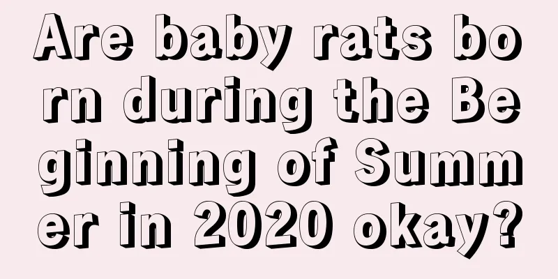 Are baby rats born during the Beginning of Summer in 2020 okay?