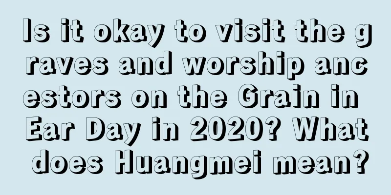 Is it okay to visit the graves and worship ancestors on the Grain in Ear Day in 2020? What does Huangmei mean?