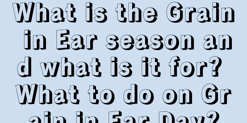 What is the Grain in Ear season and what is it for? What to do on Grain in Ear Day?