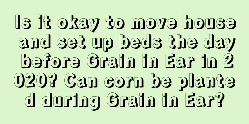 Is it okay to move house and set up beds the day before Grain in Ear in 2020? Can corn be planted during Grain in Ear?