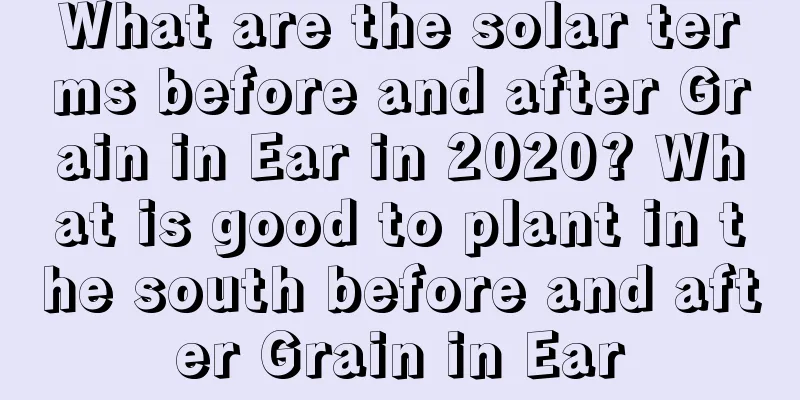 What are the solar terms before and after Grain in Ear in 2020? What is good to plant in the south before and after Grain in Ear