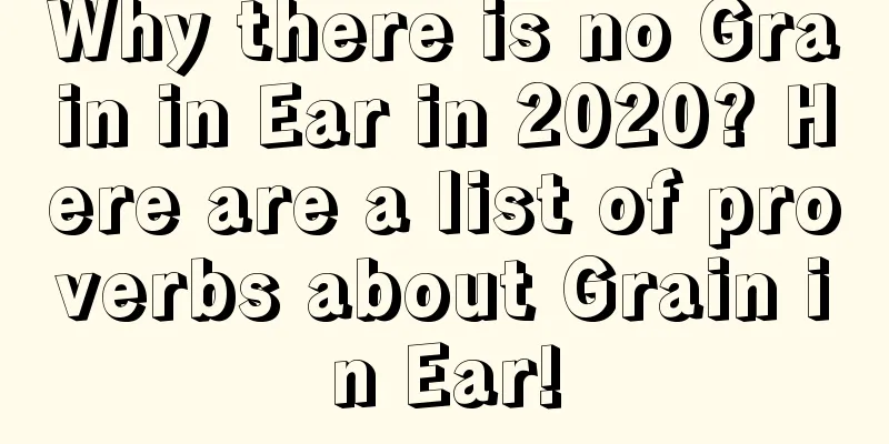 Why there is no Grain in Ear in 2020? Here are a list of proverbs about Grain in Ear!
