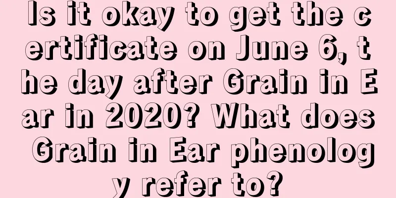 Is it okay to get the certificate on June 6, the day after Grain in Ear in 2020? What does Grain in Ear phenology refer to?