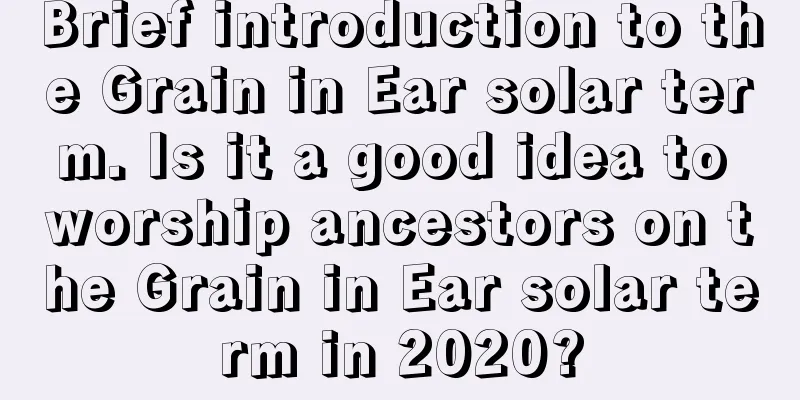 Brief introduction to the Grain in Ear solar term. Is it a good idea to worship ancestors on the Grain in Ear solar term in 2020?