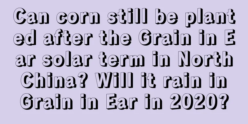 Can corn still be planted after the Grain in Ear solar term in North China? Will it rain in Grain in Ear in 2020?