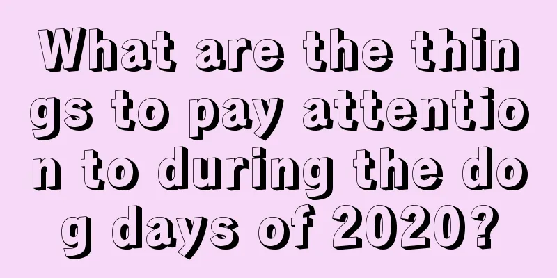 What are the things to pay attention to during the dog days of 2020?