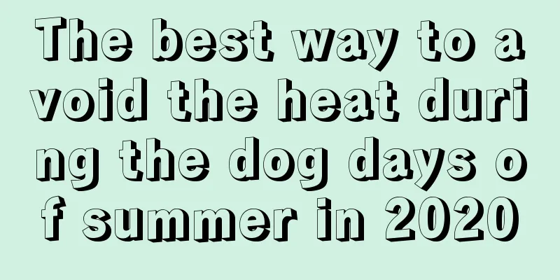 The best way to avoid the heat during the dog days of summer in 2020