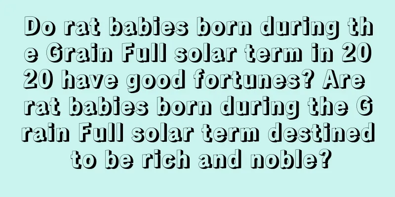 Do rat babies born during the Grain Full solar term in 2020 have good fortunes? Are rat babies born during the Grain Full solar term destined to be rich and noble?