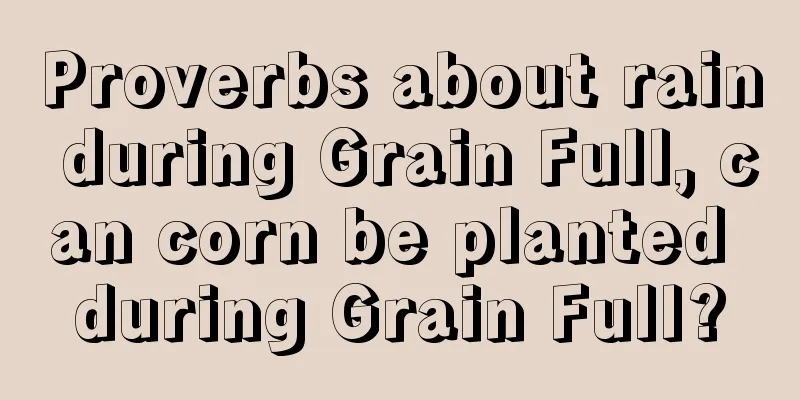 Proverbs about rain during Grain Full, can corn be planted during Grain Full?