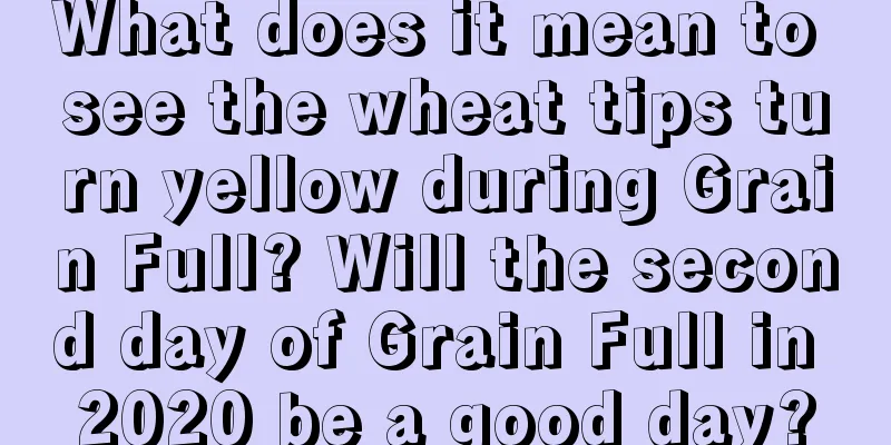 What does it mean to see the wheat tips turn yellow during Grain Full? Will the second day of Grain Full in 2020 be a good day?