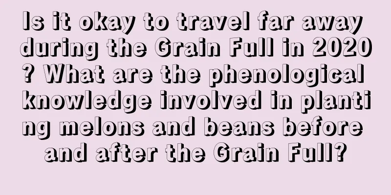Is it okay to travel far away during the Grain Full in 2020? What are the phenological knowledge involved in planting melons and beans before and after the Grain Full?