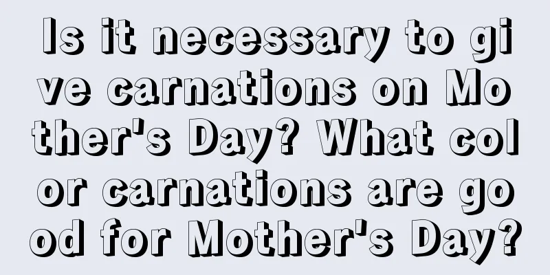 Is it necessary to give carnations on Mother's Day? What color carnations are good for Mother's Day?