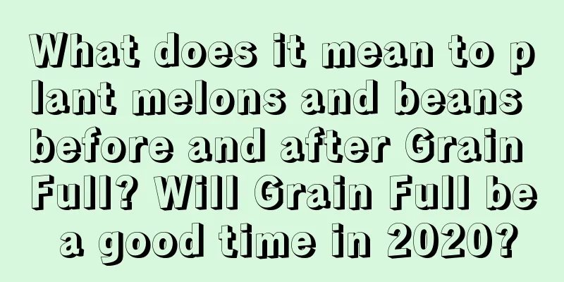 What does it mean to plant melons and beans before and after Grain Full? Will Grain Full be a good time in 2020?