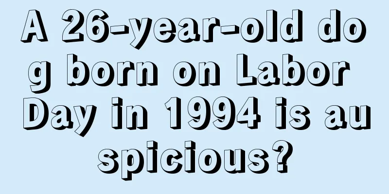 A 26-year-old dog born on Labor Day in 1994 is auspicious?