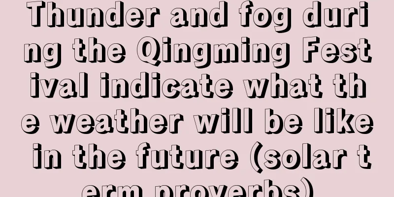 Thunder and fog during the Qingming Festival indicate what the weather will be like in the future (solar term proverbs)