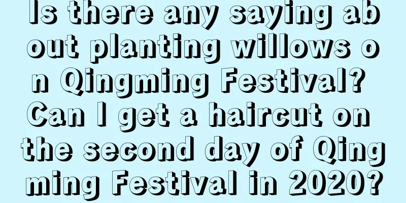 Is there any saying about planting willows on Qingming Festival? Can I get a haircut on the second day of Qingming Festival in 2020?