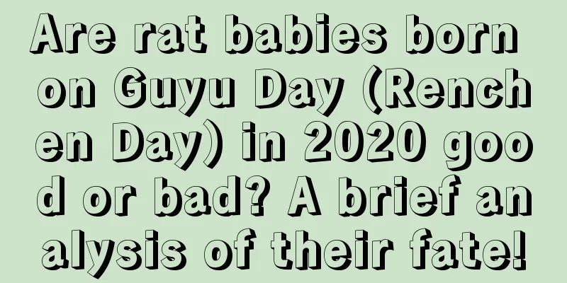 Are rat babies born on Guyu Day (Renchen Day) in 2020 good or bad? A brief analysis of their fate!