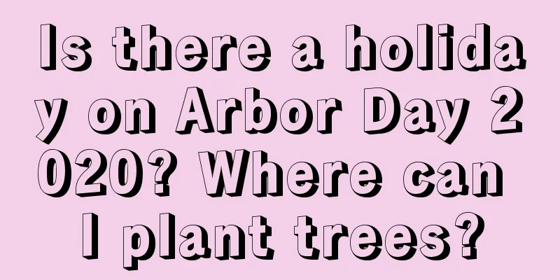 Is there a holiday on Arbor Day 2020? Where can I plant trees?