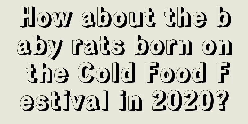 How about the baby rats born on the Cold Food Festival in 2020?