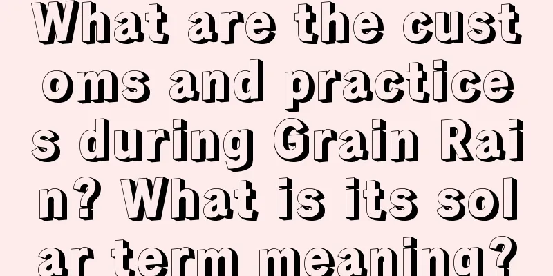 What are the customs and practices during Grain Rain? What is its solar term meaning?