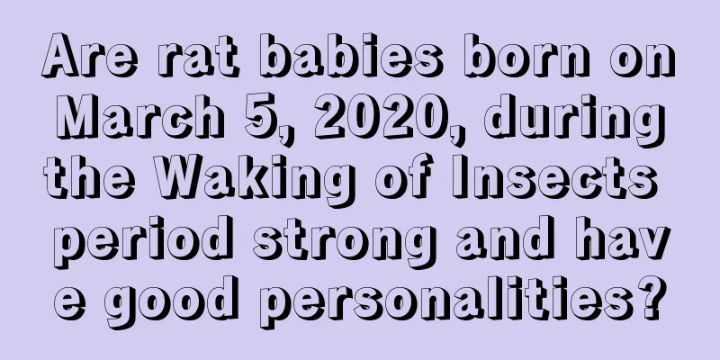 Are rat babies born on March 5, 2020, during the Waking of Insects period strong and have good personalities?