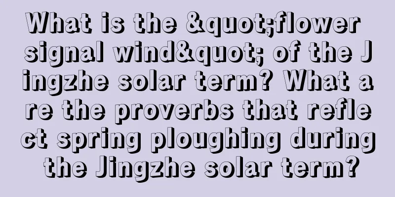What is the "flower signal wind" of the Jingzhe solar term? What are the proverbs that reflect spring ploughing during the Jingzhe solar term?
