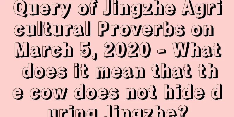 Query of Jingzhe Agricultural Proverbs on March 5, 2020 - What does it mean that the cow does not hide during Jingzhe?