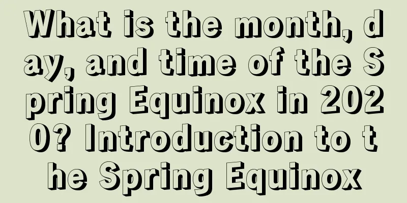 What is the month, day, and time of the Spring Equinox in 2020? Introduction to the Spring Equinox
