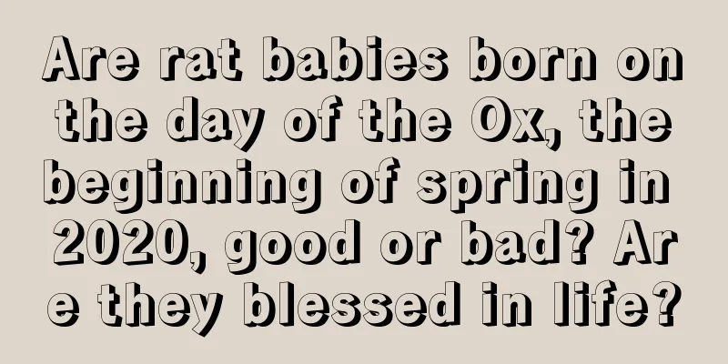 Are rat babies born on the day of the Ox, the beginning of spring in 2020, good or bad? Are they blessed in life?