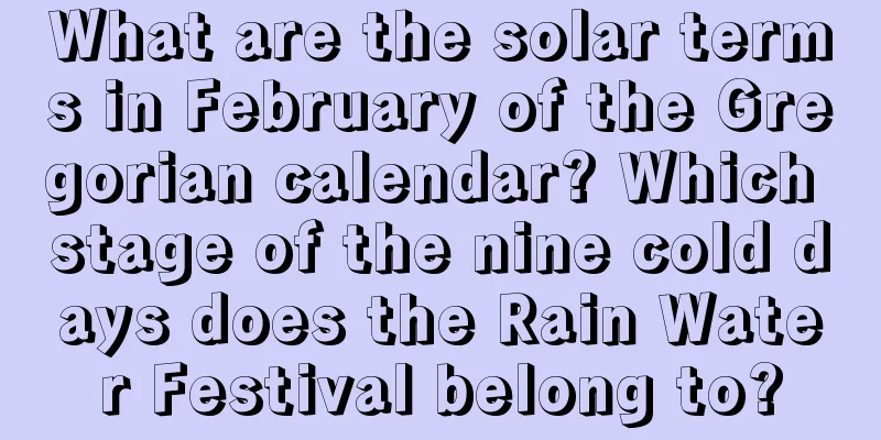 What are the solar terms in February of the Gregorian calendar? Which stage of the nine cold days does the Rain Water Festival belong to?