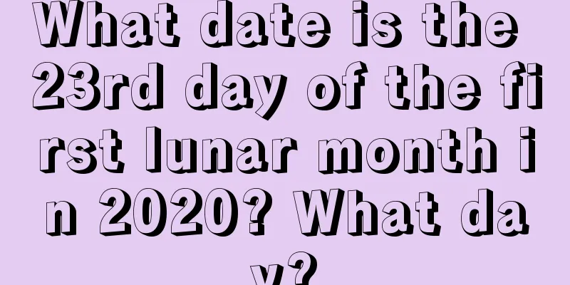 What date is the 23rd day of the first lunar month in 2020? What day?