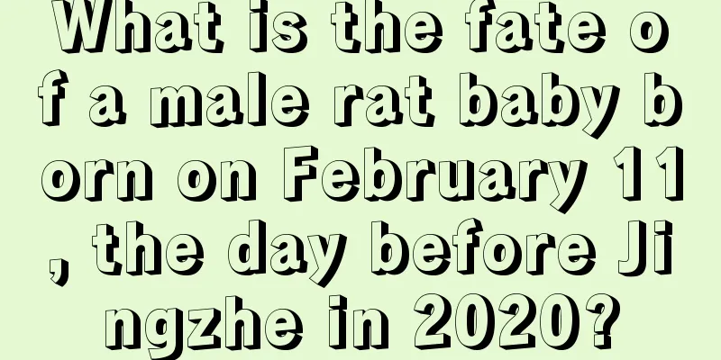 What is the fate of a male rat baby born on February 11, the day before Jingzhe in 2020?