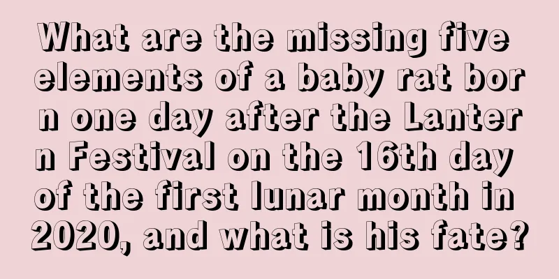 What are the missing five elements of a baby rat born one day after the Lantern Festival on the 16th day of the first lunar month in 2020, and what is his fate?